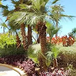 Apartamento Center Paraíso Soleado - Costa Del Sol