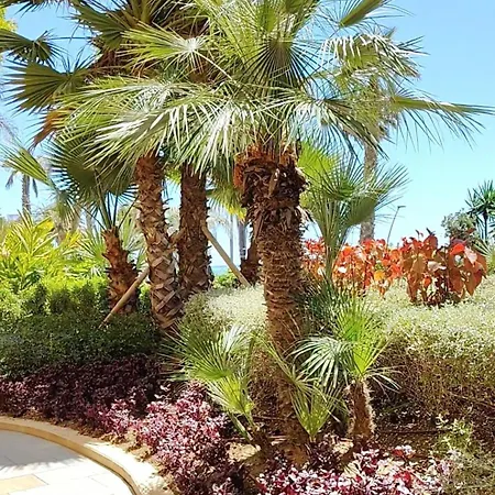 Apartament Old Town Center Near - Free Parking - Paraiso Soleado