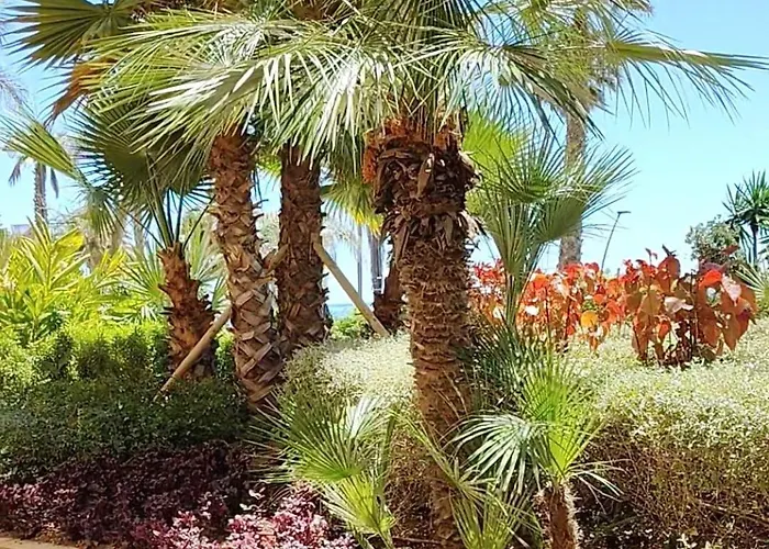 شقة Estepona Center Paraiso Soleado - Costa Del Sol