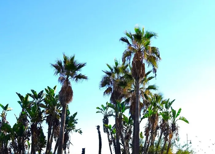 شقة Estepona Center Paraiso Soleado - Costa Del Sol
